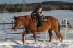 Mina 6 ans a son premier cours d'équitation cet apres-midi ! Sur...