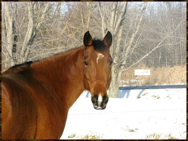 Dostie, guilding 13 ans