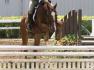 moi et maverick blainville 2006 chasse enfant