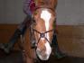 maverickk !!!! (L) et sa belle liste croche qui fait croire que...