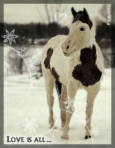 Woaahhh !!! MERCI BCP aude122 pour ce magnifique montage de mon...