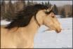 Une autre photo de Solanna! On nombre de photos...