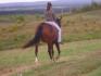 Moi et mon cheval pas de selle