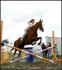 JUMPING AK MA SACHA ! (L)