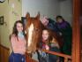 Mon cheval Chex avec pleins d'amies :)