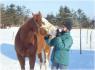 Moi et Mon Cheval , Gros beck !