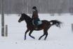 Au galop!