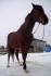 MOn copain ! (L) photo prise par moi !! :)