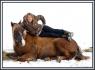 complicit&eacute; cavalier cheval