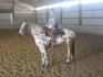 moi avec Appou, une cheval au ranch S.Martin