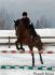 Baron et moi aujourdhui !! Photo prise par Pascale Lemay...