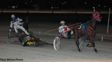 Undersky Oceanus qui s'est enfargé dans le cheval en avant et...