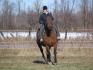 Lady, au Ranch Namaspamoos! Elle fait 16.2 mains c'est grand!
