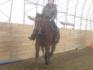 Au gaLopp :D