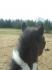 Amazone voit loin devant