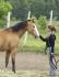 tai mon Lastday pour la vie -xxx-