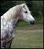 Maudit que j'le trouve mignon mon gros grisou sur...