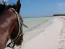 escapade sur le bord de la mer!