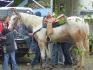 Mon gros All In a la cabane a sucre chez Ti-Pere..  merci...