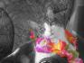 un ti montage de mon chat !!