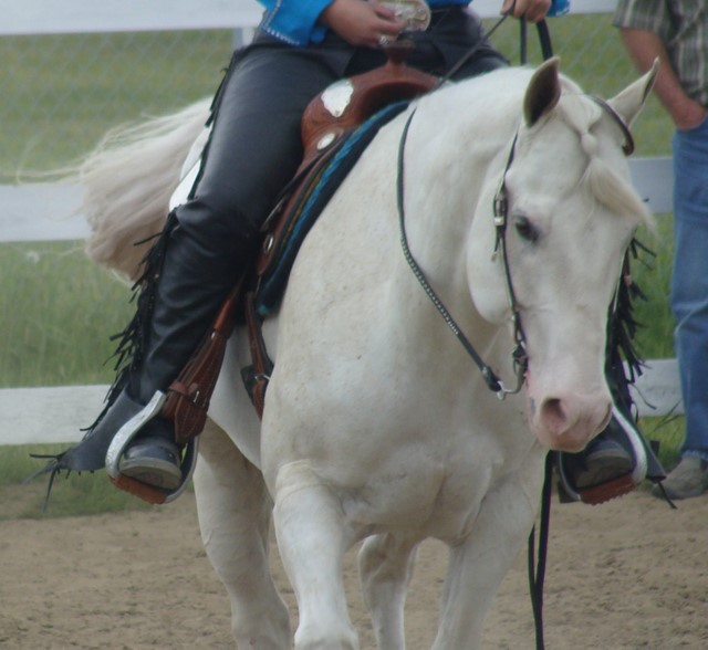 Rave dans obstacle western