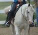 Rave dans obstacle western