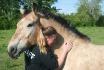 un gros calin