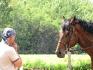 Le coach donne ses instructions...au cheval!