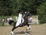 spectacle d'equitation avec mon arabe noir