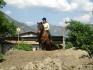 mon 1er TREC