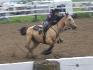 Relais Écurie le petit trot 2009