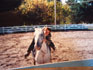Une femme sur le dos de son cheval