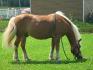 Walter qui mange encore!
