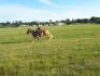 Walter et moi au galop dans le champs!