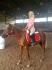 Deuxieme journee de debourrage de princesse Ariel :-)