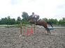 Mon poney et moi a l'obstacle