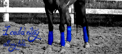 I could stay all my life... ---- Je pourrai y rester toute...