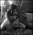 Je t'aime