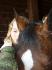 grand amour entre elle e mwa ^^
