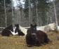 tout le monde se repose!!
