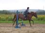 petit saut avec Daisy !