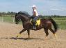 Beau bonhomme au galop :) Photo prise par...
