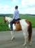 Cowgirl et Monture regardant au loin...&#9829;...