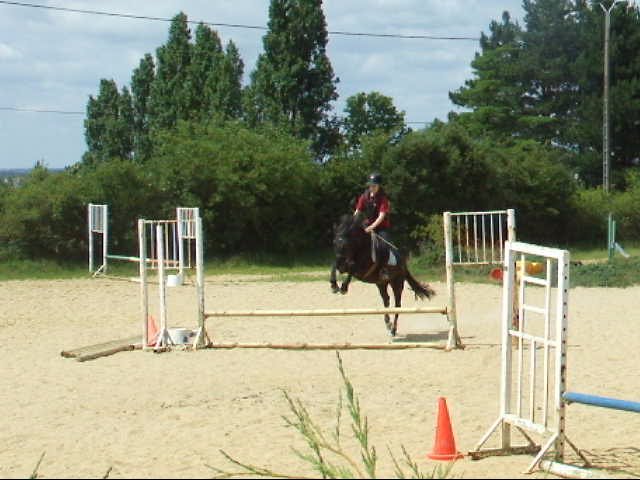 Concours du club: dernier obstacle du parcours pour Flora et son...