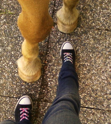 El Texas et moi ^^ enfin nos pieds MDR