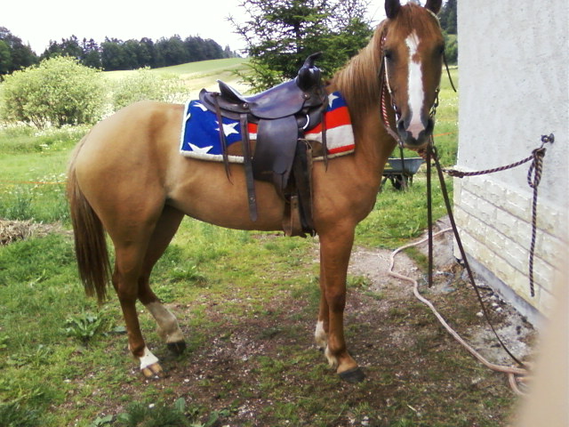 Saana avant entrainement barrel