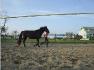 Travaill au sol :) !