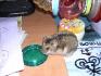 il est bon ton machin lol