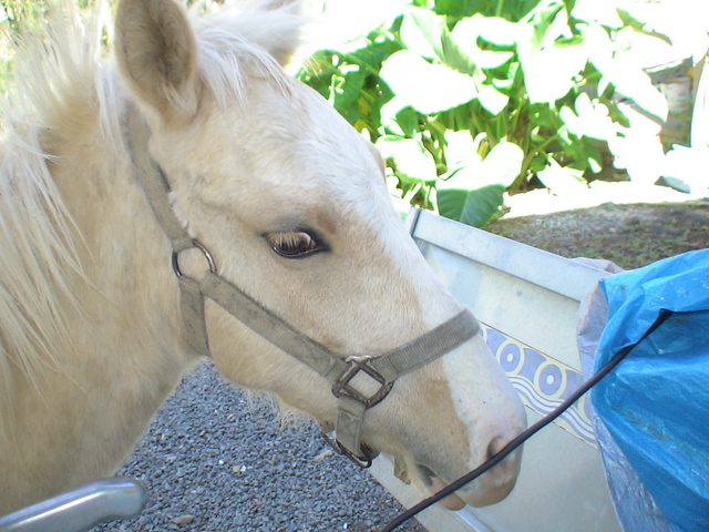 mon bb d'un an avec un sale caractère !