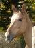La belle Doly 2 ans !!!